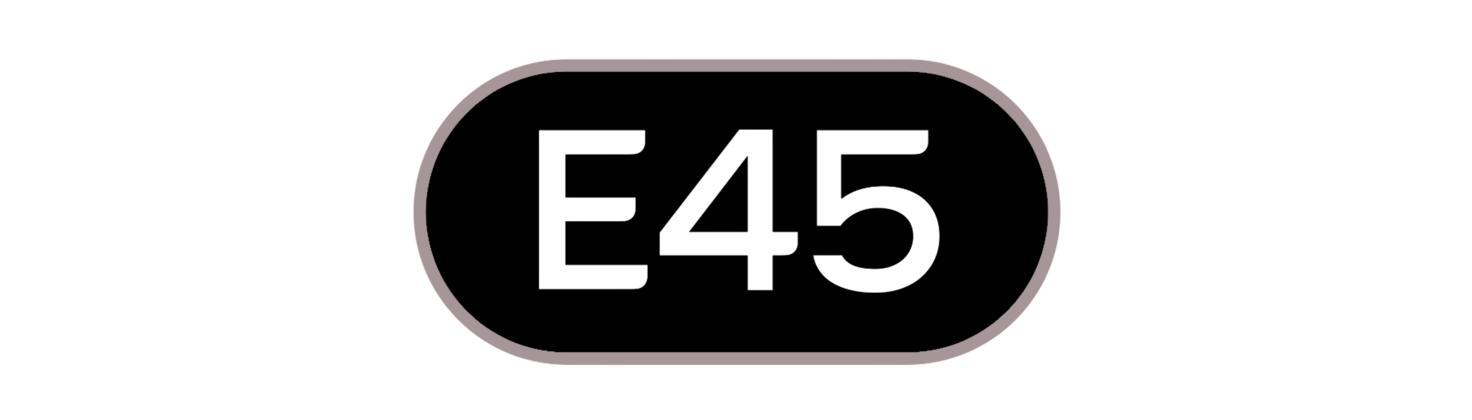 E45