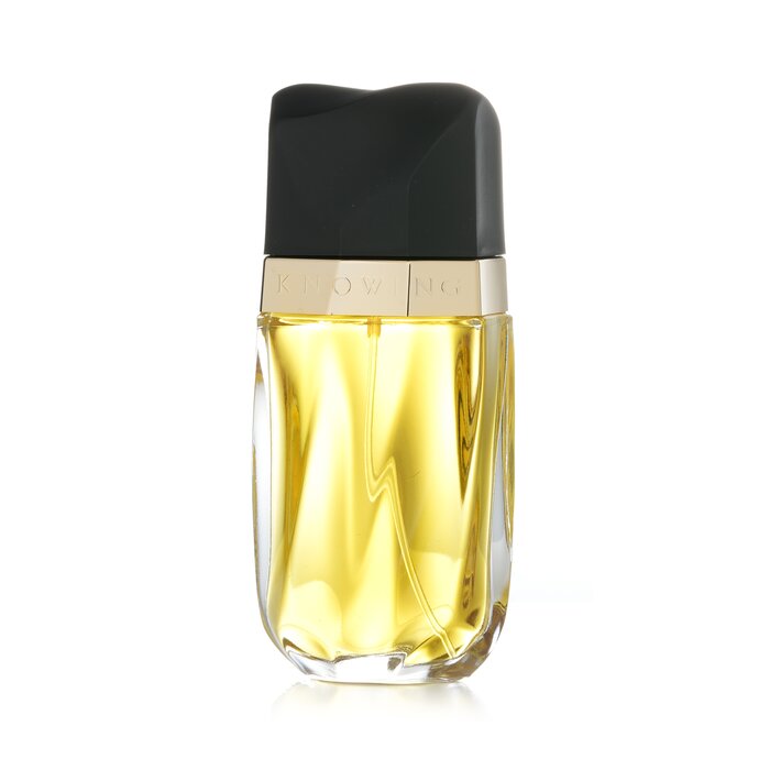 Estee Lauder Knowing Eau De Parfum Spray - 8COM STORES