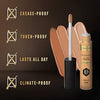 Max Factor Facefinity All Day Flawless Concealer - 070