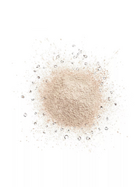 DIOR Diorskin Forever Cushion Loose Powder