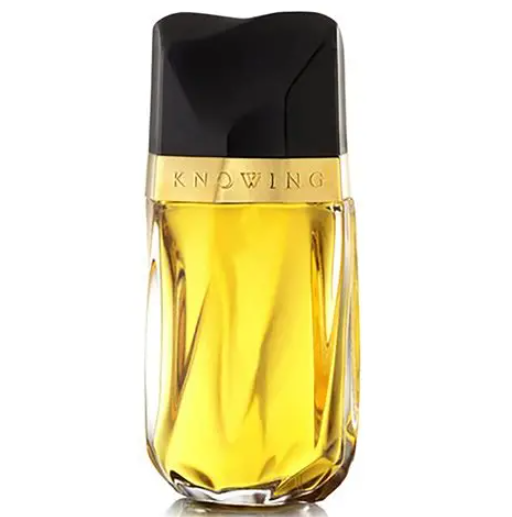 إستي لودر نينغ أو دو برفوم بخاخ