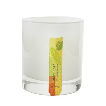 Aromatic Candle - Olive Leaf - 8COM STORES